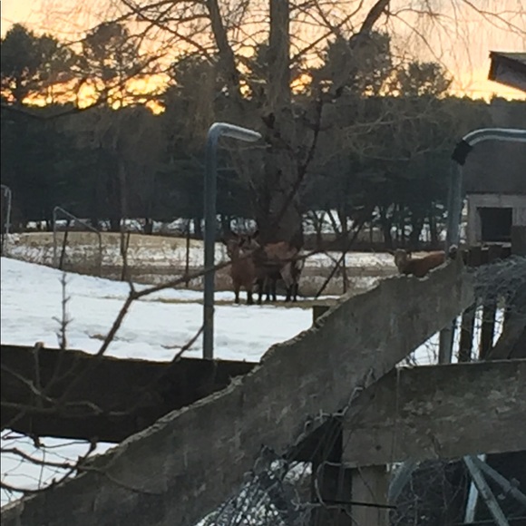 So many Styles...Too much Sauce😎 - Picture 6 of 8